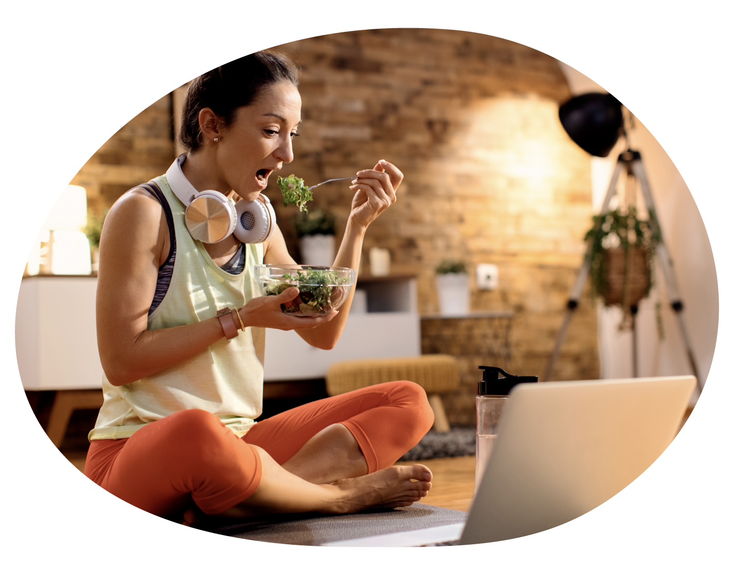 Online Programy